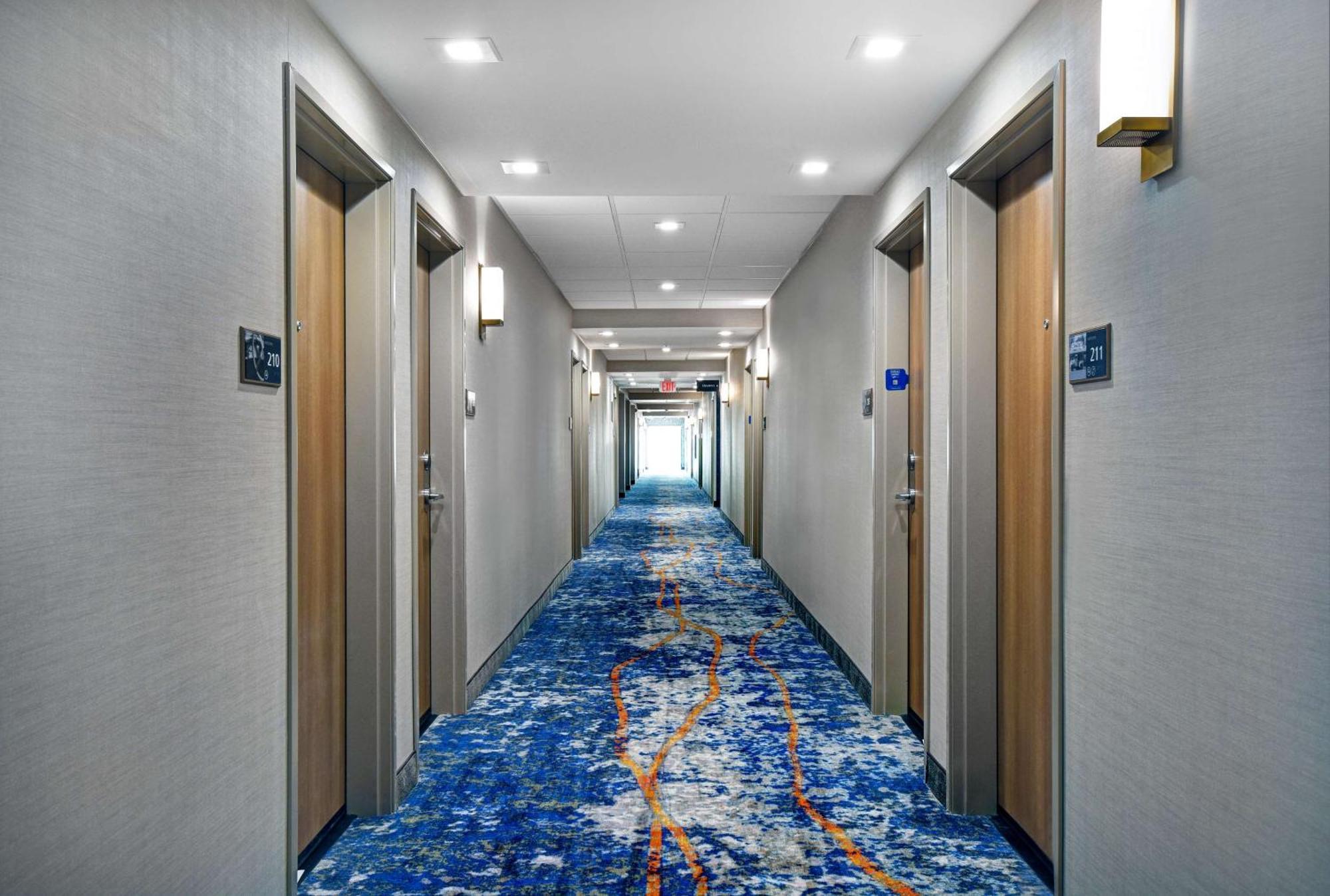 Hampton South, Tx Hotel